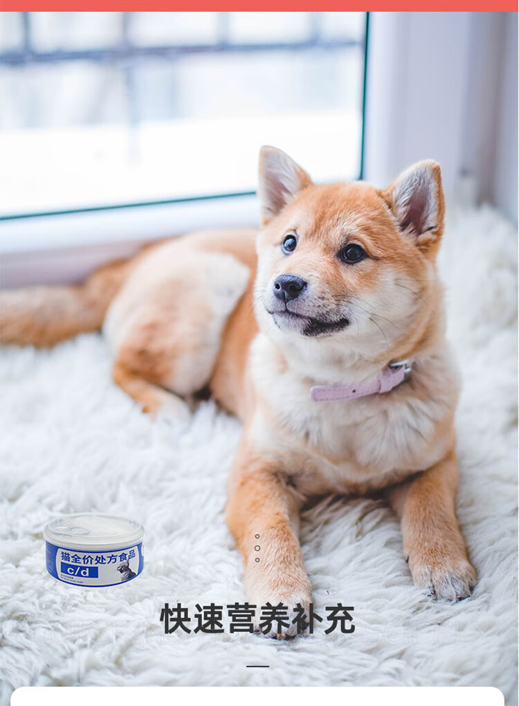 爱睿希ad非尔斯cdkd尿道id肾脏肝脏肠道拉稀腹泻猫犬罐头156g6罐pd犬