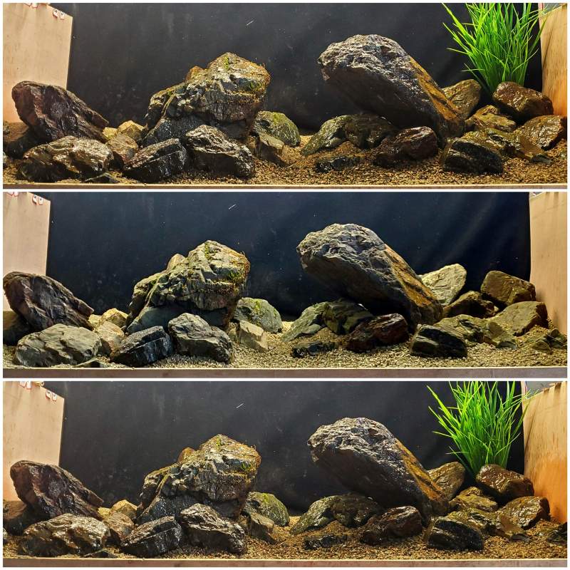 溪流原生缸造景溪流石天然鹅卵石鱼缸造景组合石头套餐三湖慈鲷6030