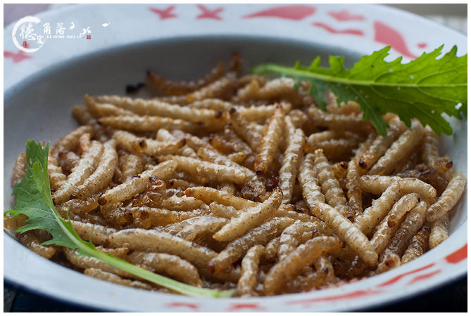 云南特产冰鲜新鲜竹虫竹节虫竹蜂蜂虫笋食用昆虫下酒菜顺丰 2斤装