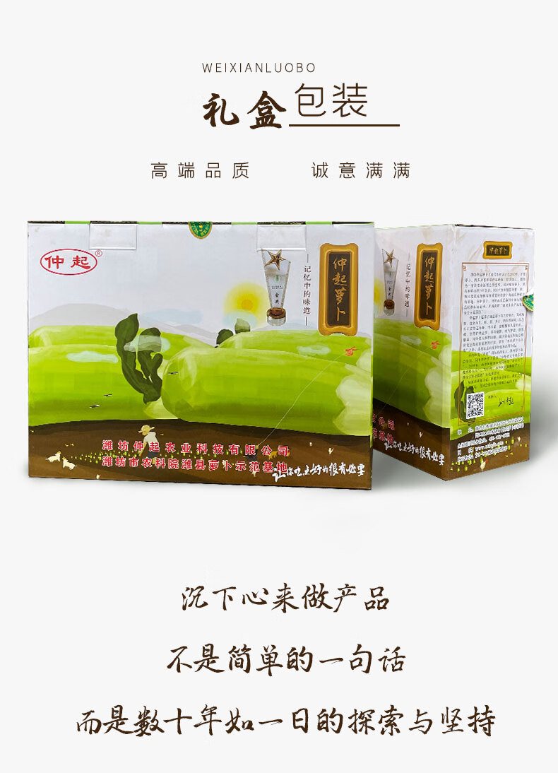 农特产馆正宗潍县萝卜潍坊水果萝卜潍坊青萝卜山东特产净重5kg礼盒装