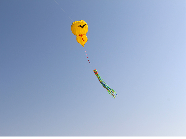 潍坊风筝大型高档立体葫芦风筝新款大软体风筝黄葫芦26背带轮800m专业