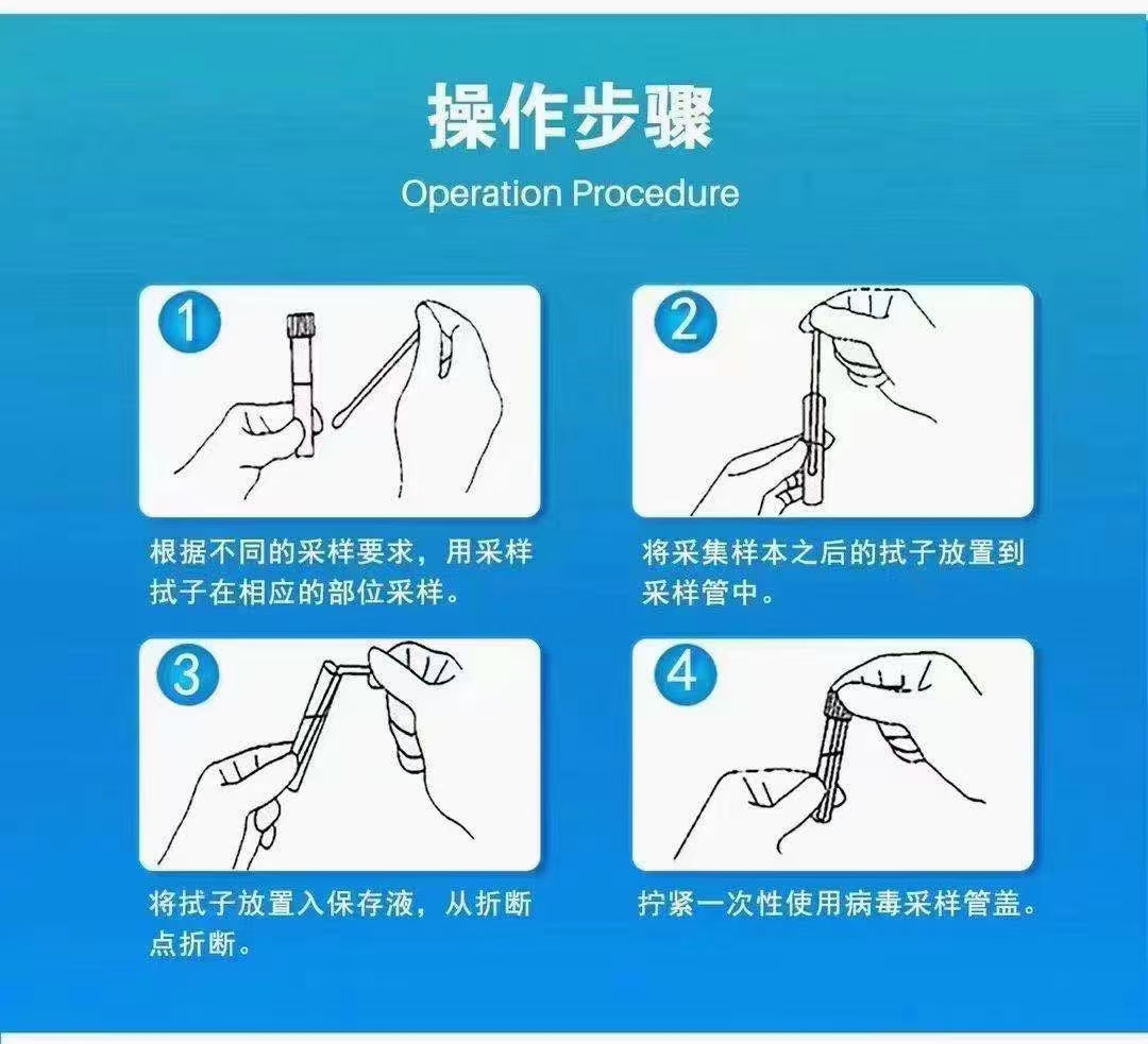 东贝一次性病毒采样管使用病毒采样管核带咽拭子酸检测采集管40支盒