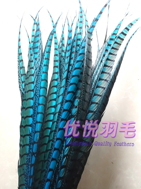 舞台俏花旦京剧戏曲头饰翎子鸡毛鸡尾野鸡毛鸡侧尾羽毛 宝蓝80-90cm