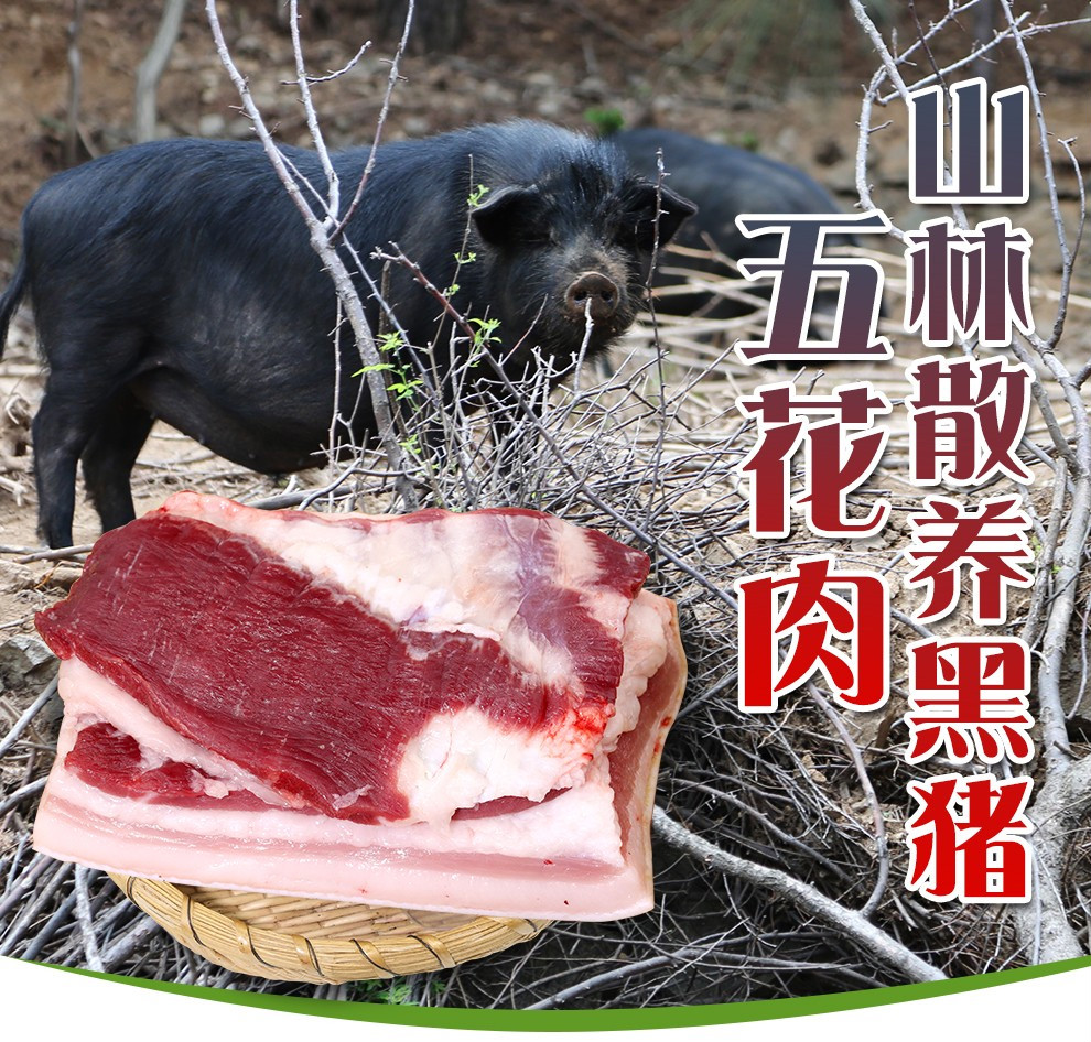 新鲜黑猪肉五花肉肋排黑猪五花肉2斤2两