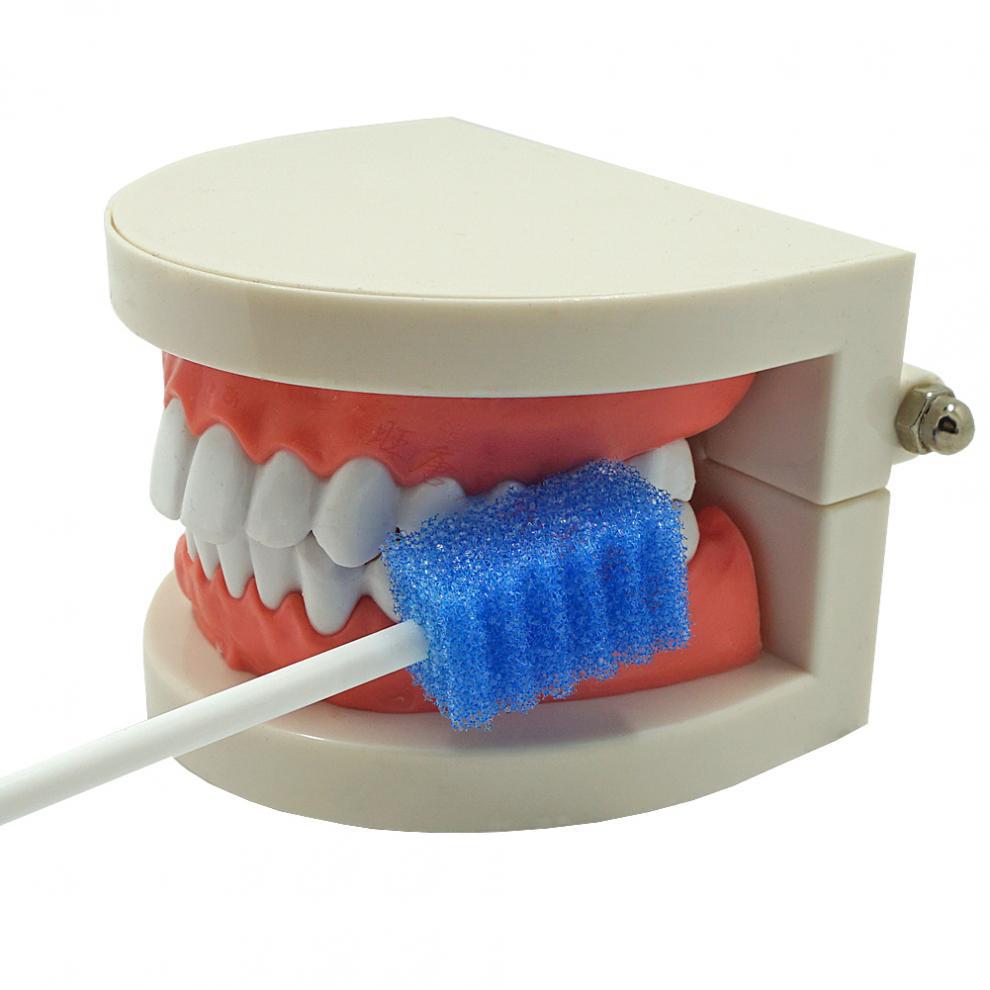 儿童口腔按摩棒海绵棒口肌口肌训练工具自闭吞咽儿童康复海绵棒沸鱼