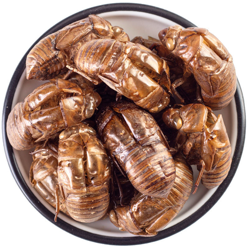 中药材蝉蜕知了皮100g蝉衣蝉壳虫蜕虫退爬了猴壳金蝉衣