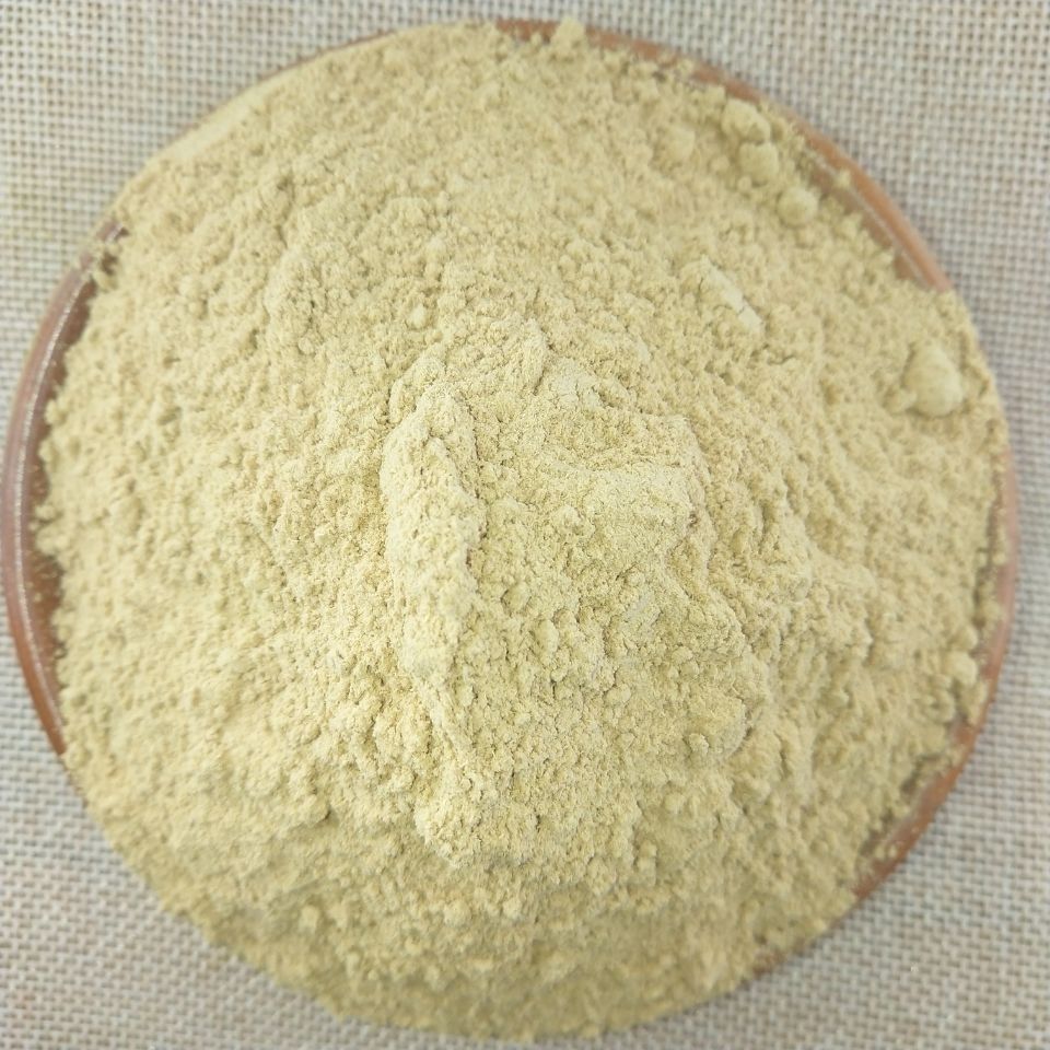 中药材桑白皮粉 桑树根皮粉超细桑皮粉头屑双白皮粉500克 500克【图片