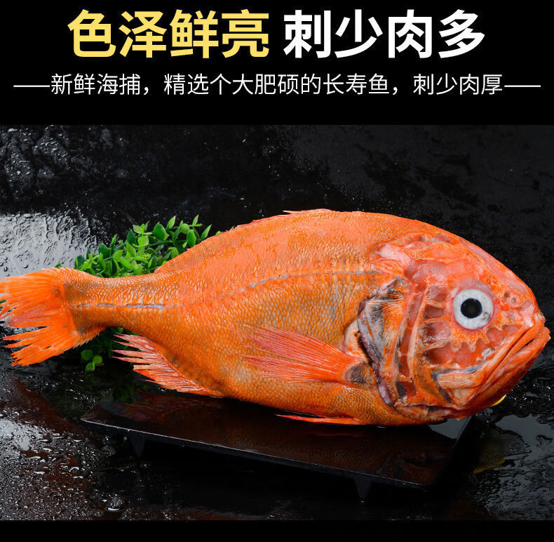 胸棘鯛魚新鮮富貴魚南極長壽深海魚2225斤