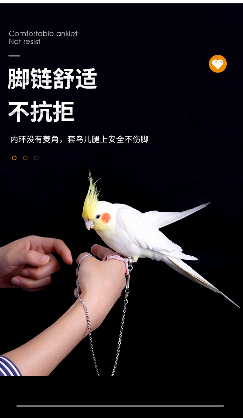 手养鸟绳用品轻不锈钢鹦鹉脚链不伤脚 脚链40cm 15号脚环(建议大葵花
