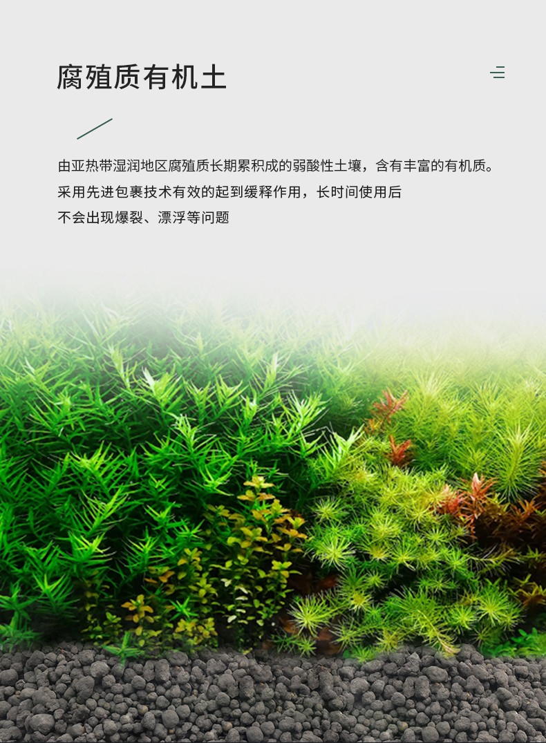 尼特利水草红绿草液肥基肥根肥开缸伴侣微量元素钾铁肥稳定底床twin