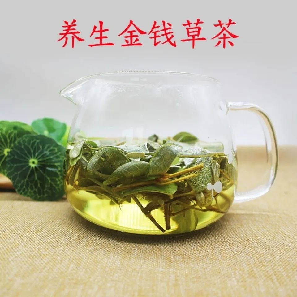 伟博金钱草中草药广西大小叶金钱草茶广金钱草冲剂 广金钱草500g【买