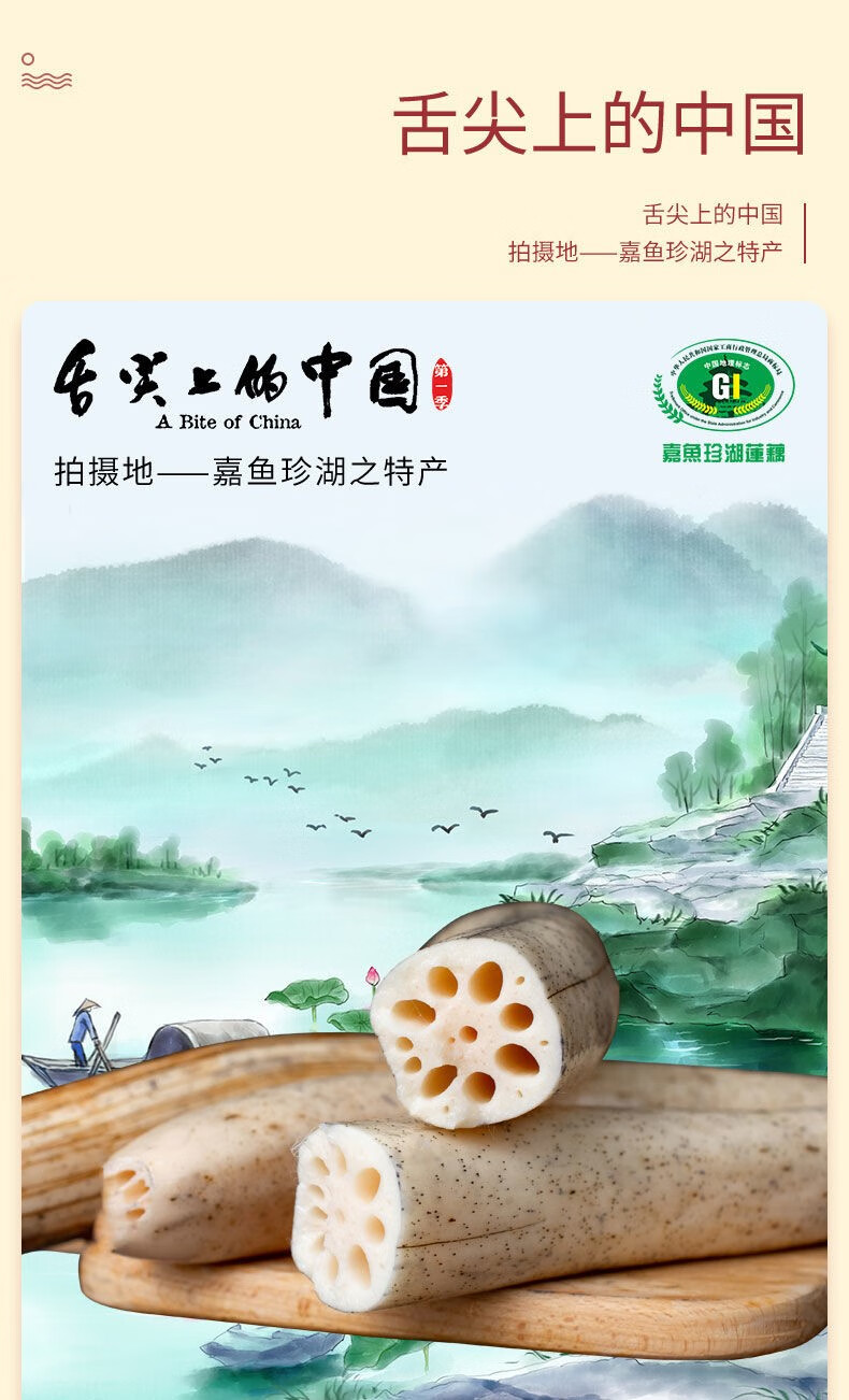 媚调湖北嘉鱼野莲藕新鲜粉藕食材煲汤现挖带泥巴九孔糥面藕非洪湖野藕