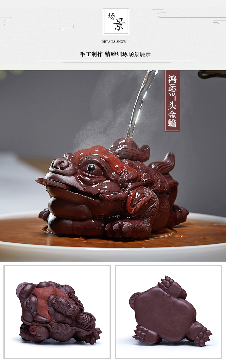 新款遇热变色茶宠紫砂金蟾茶宠可养茶台配件茶桌蟾蜍精品茶具纯手工