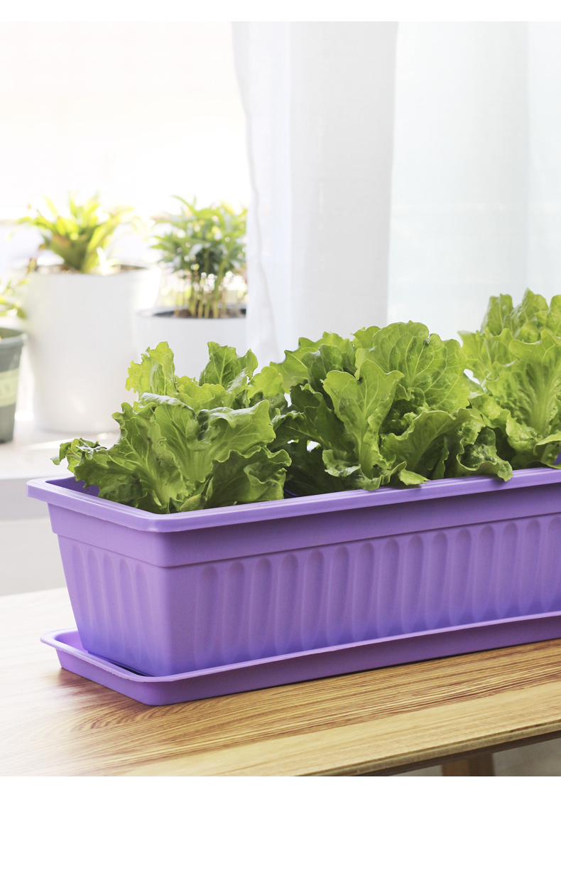亲居长方形种菜盆阳台加厚塑料蔬菜种植箱特大号家庭养花种菜神器