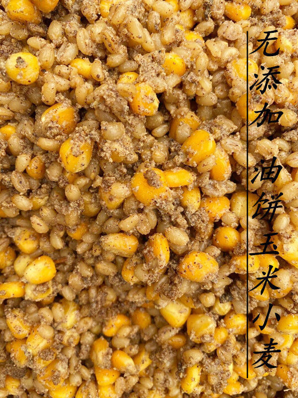 秘制野钓打窝用发酵玉米酒糟小麦快窝料鱼饵水库鲫鱼鲤鱼草鱼青鱼奶香