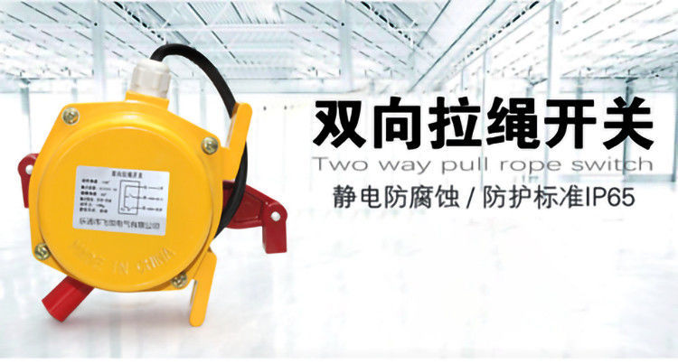 定制适用双向拉绳开关拉线皮带机输送机事故紧急急停开关hfklt212iii