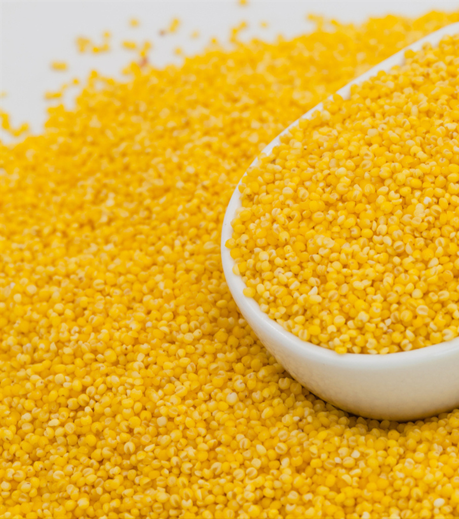 山西小米5斤散装小米粥上等小米沁州黄米五谷杂粮粥