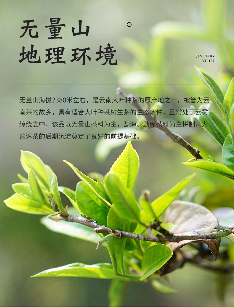 土林凤凰茶叶普洱茶生茶清木凝香生茶357g普洱茶礼盒装清木凝香生茶