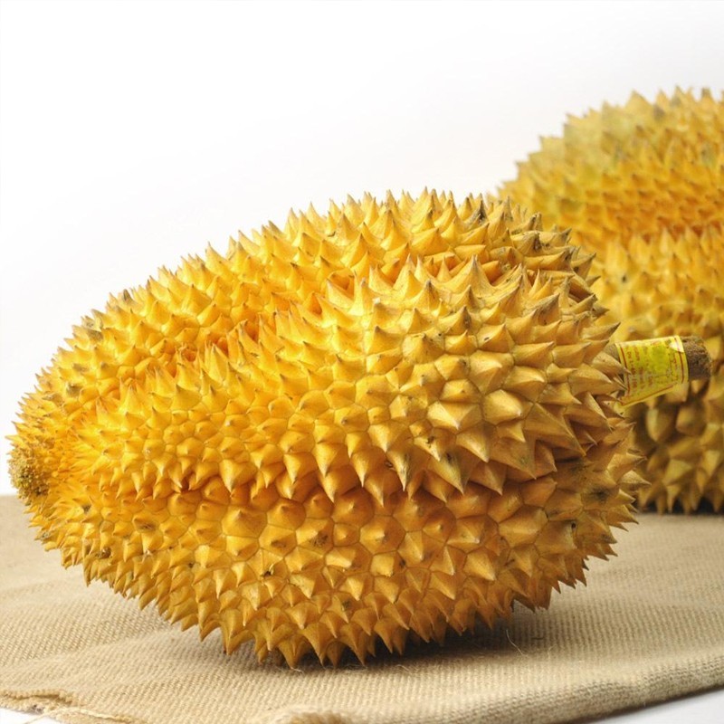 泰国进口金枕头榴莲 一个装净果 新鲜榴莲 1000g-1500g单果