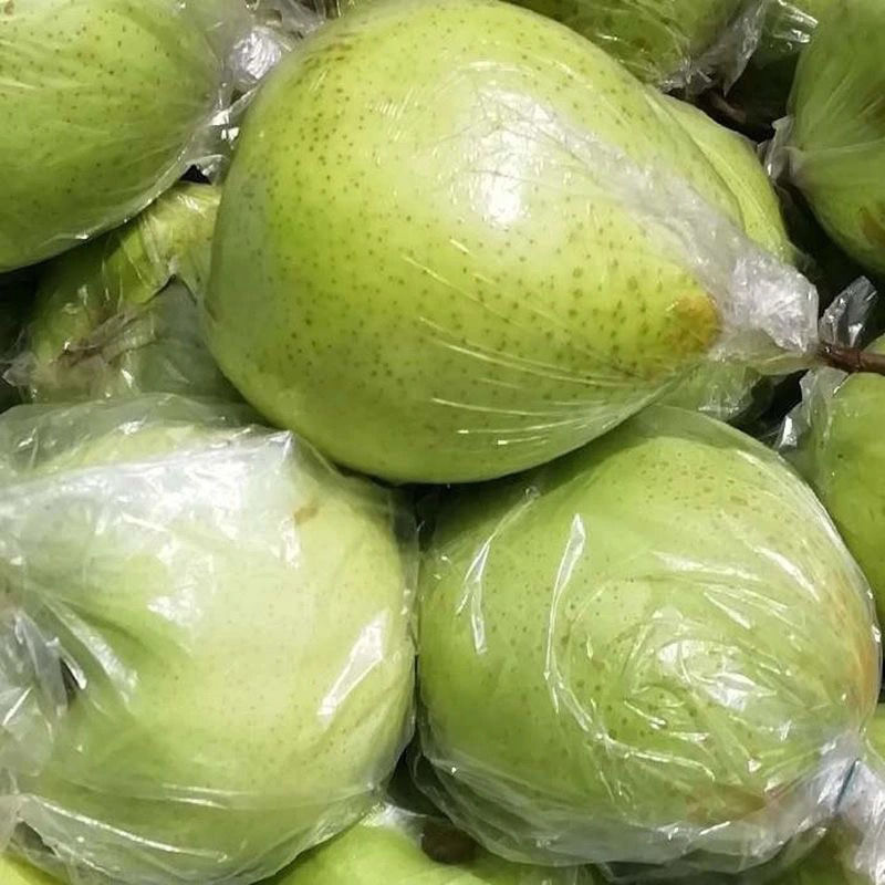 青鸭梨水果新鲜五斤装当季 手选果 带箱3斤