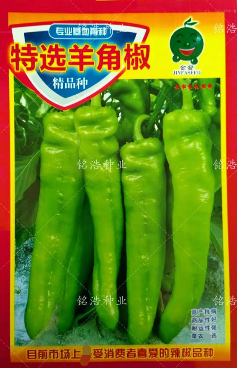 特选羊角辣椒种子早熟耐热耐寒春秋播种尖椒特大果大青椒蔬菜种籽 特