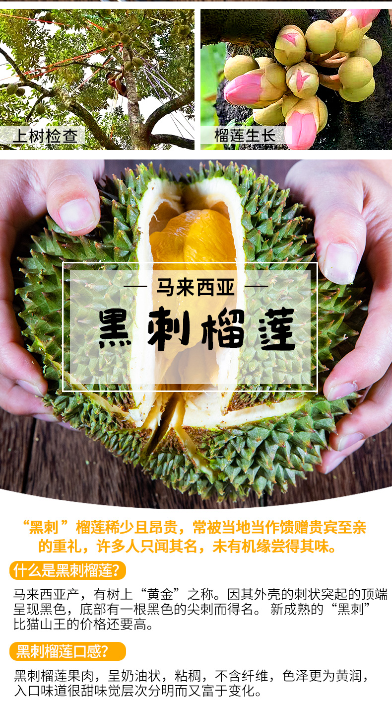 晶太太马来西亚黑刺榴莲d200液氮进口榴莲整个大果冷冻水果带壳新鲜