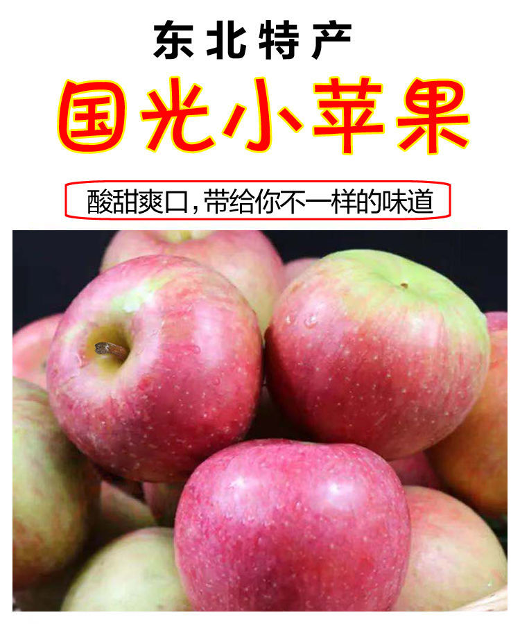 东北小国光苹果酸甜脆新鲜苹果高山国光正宗老式绿色国光210斤大果5斤