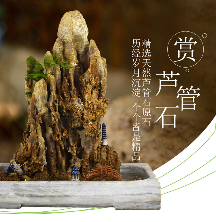 钟乳石摆件芦管石麦管石假山盆景天然上水石原石庭院造景吸水石钟乳石