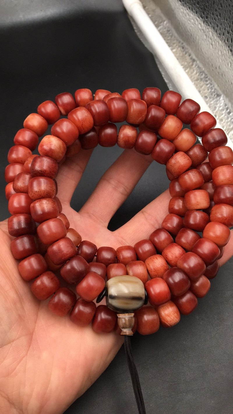 森洲 天然满血骆驼骨手串手链108颗佛珠念珠骨质玉润清晰蝌蚪大猫王骨