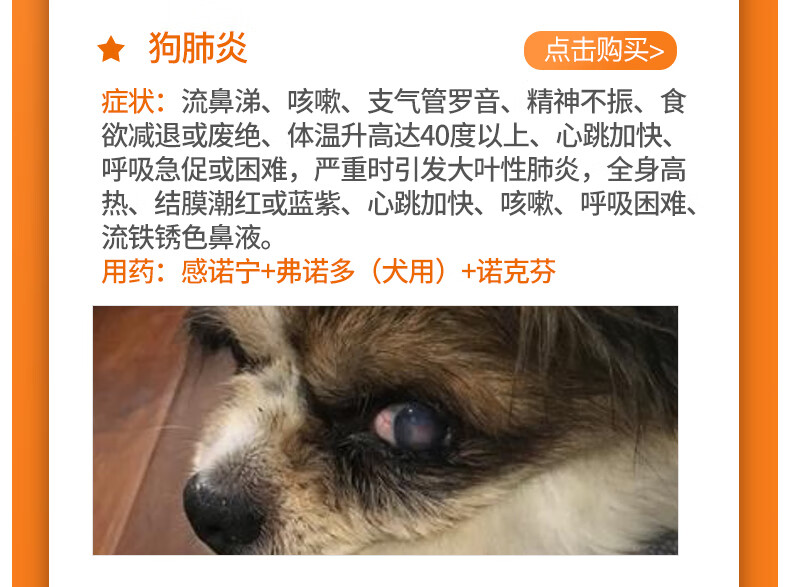 普安特狗狗感冒药咳嗽干呕药犬窝咳气喘肺炎宠物止咳消炎药弗诺多盐酸多西环素片 犬用 1盒 图片价格品牌报价 京东