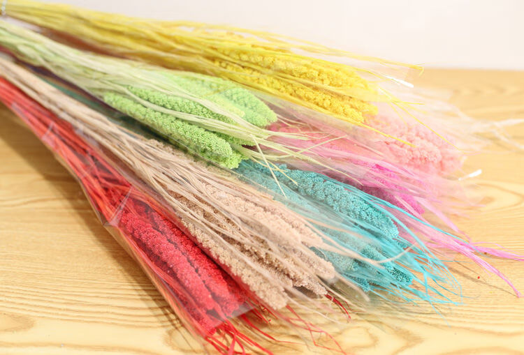 云南干花 染色小米穗谷穗麦穗插花田园文艺 家居装饰摆件拍照道具sn