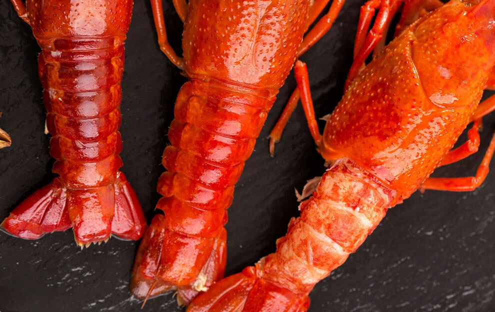 龙虾净重900g/盒 海鲜熟食零食火锅食材海鲜批发 大号小龙虾900g*3盒