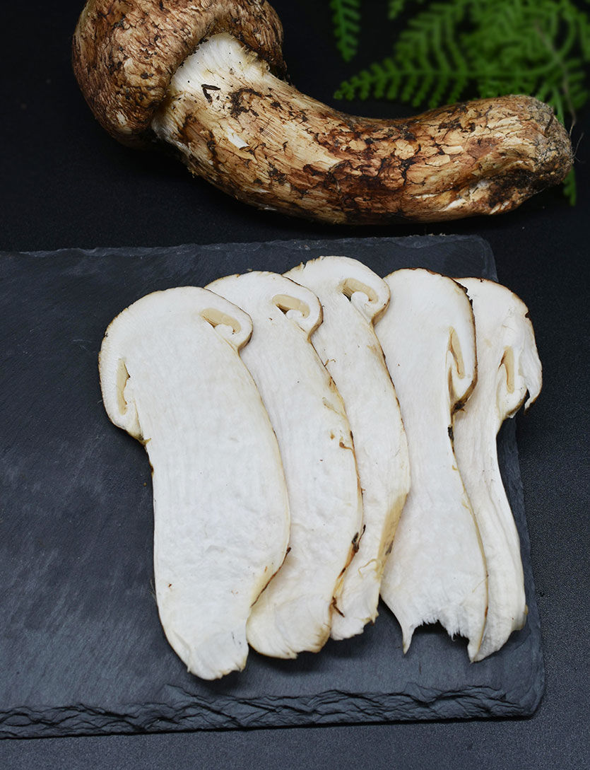 云南特产2021香格里拉新鲜松茸现摘云南菌食用菌滋补食材送礼现货250g