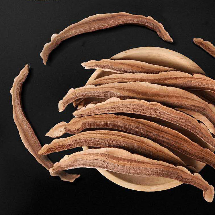 斗龙芝官网西藏龙芝大片斗龙芝切片送枸杞 男人的加