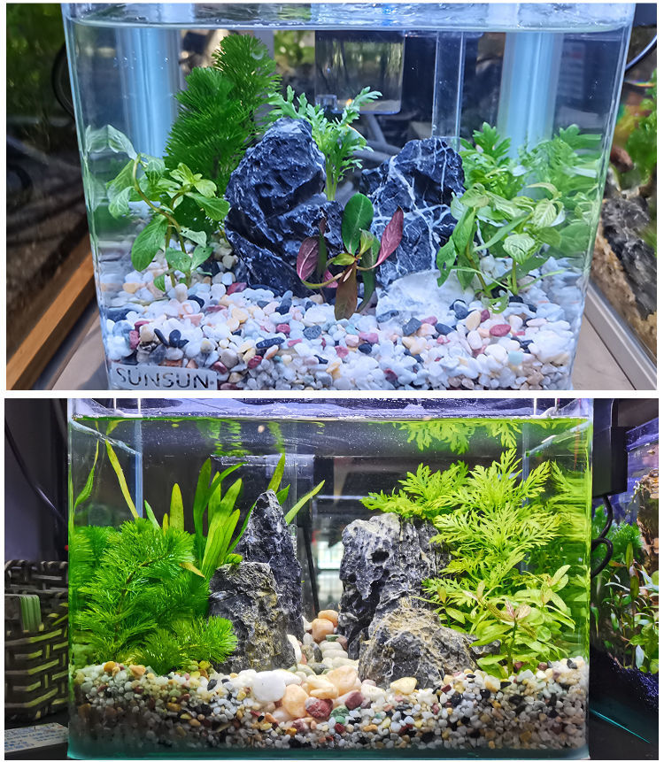 宠物优品 雨花石鱼缸底砂水族箱造景小石头装饰彩色石子五花石龟缸