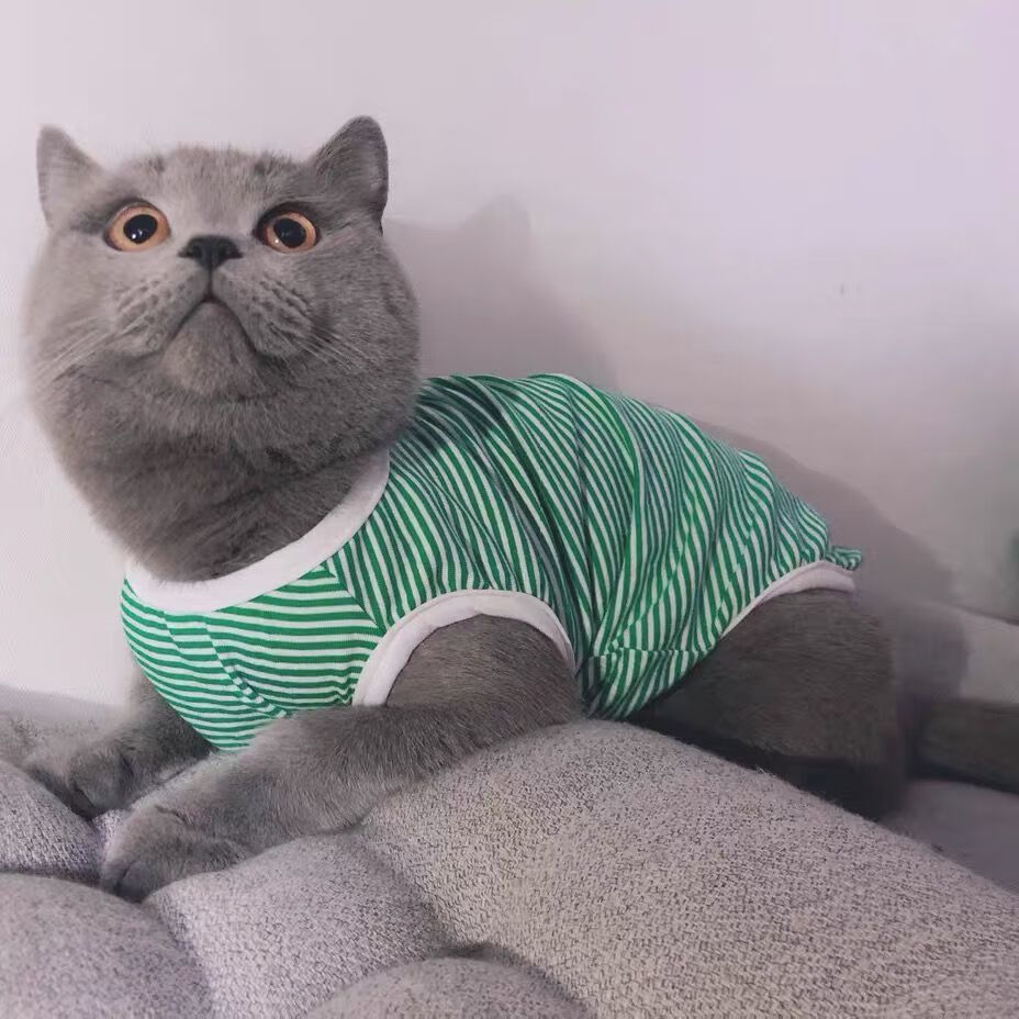 网红小猫咪衣服宠物猫小狗春夏季薄款可爱背心条纹蓝猫泰迪狗衣服深