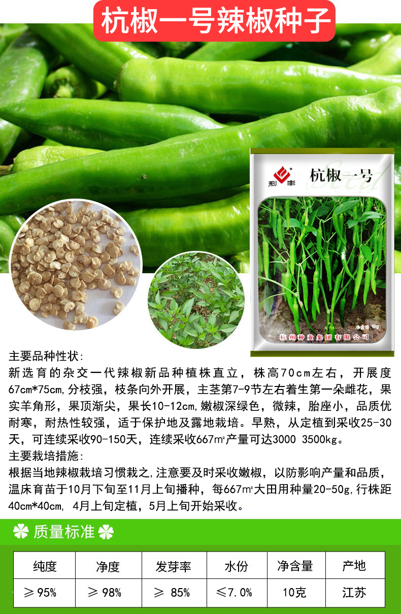 凤鸣雅世 螺丝椒种子高产辣椒种子蔬菜种子线椒春秋季高产早熟种籽