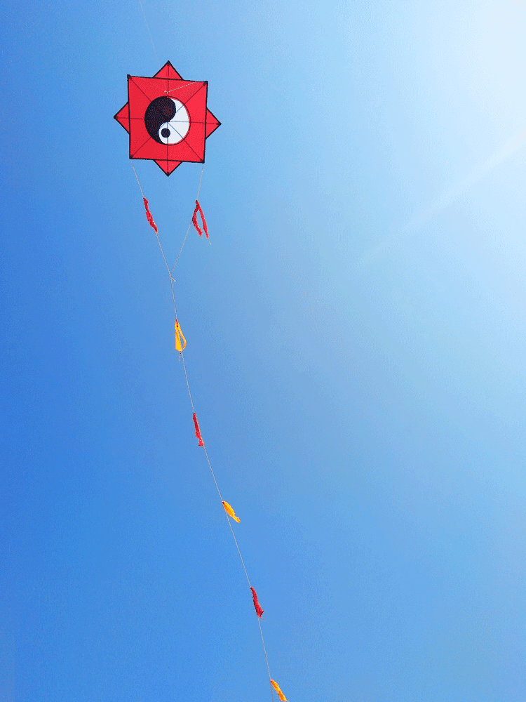 太极八卦风筝大型伞布树脂杆抗大风飘尾线轮套餐 仅1.5米格子布八卦