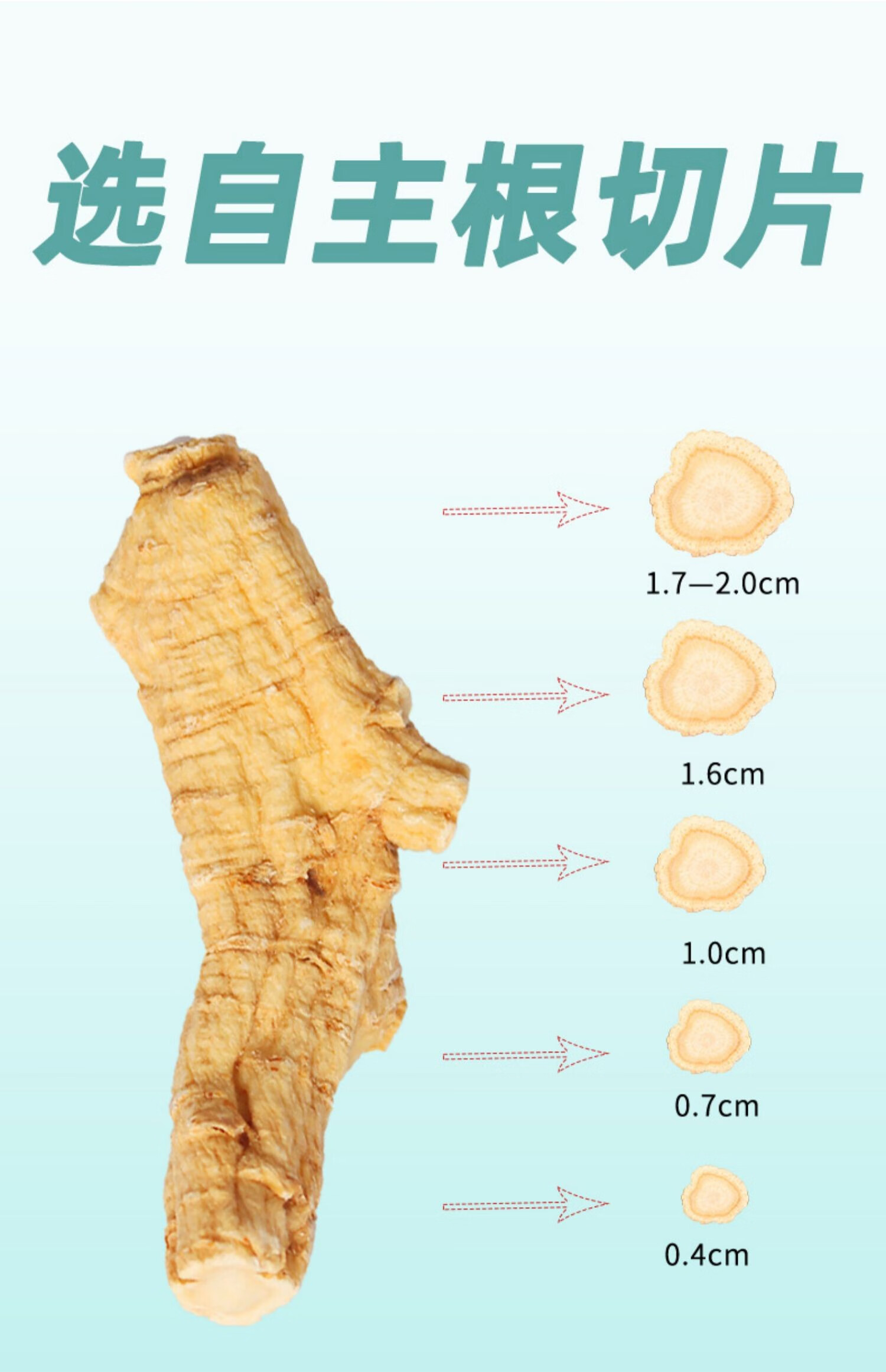 西洋参片真假辨别图片图片