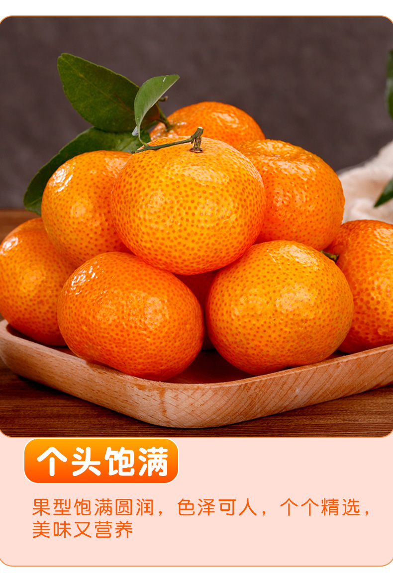 广西砂糖橘鲜整箱小橘子桔子应当季薄皮沃柑甜整箱9斤