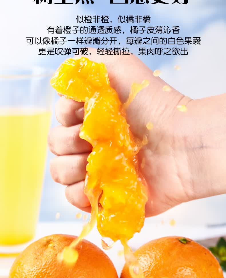 爱媛（定制改）_07.jpg