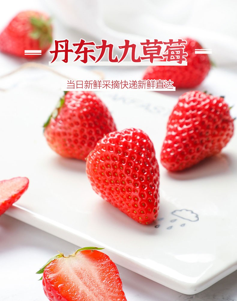 丹东九九草莓红颜奶油大草莓新鲜采摘现摘现果园直发圣诞礼盒特大果