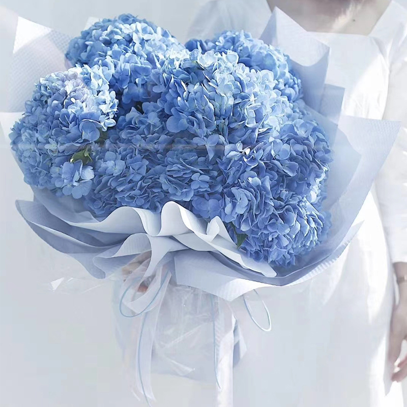 满味园鲜花速递同城配送进口韩式蓝色绣球大花束生日礼物送女友闺蜜