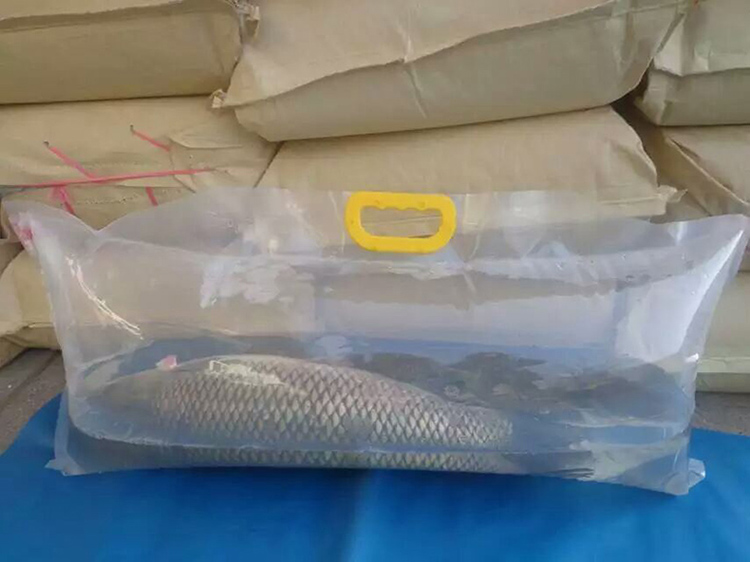 活鱼袋胖头鱼鲟鱼鲤鱼运输氧气包装袋加货充氧手提袋礼品装鱼袋子60cm
