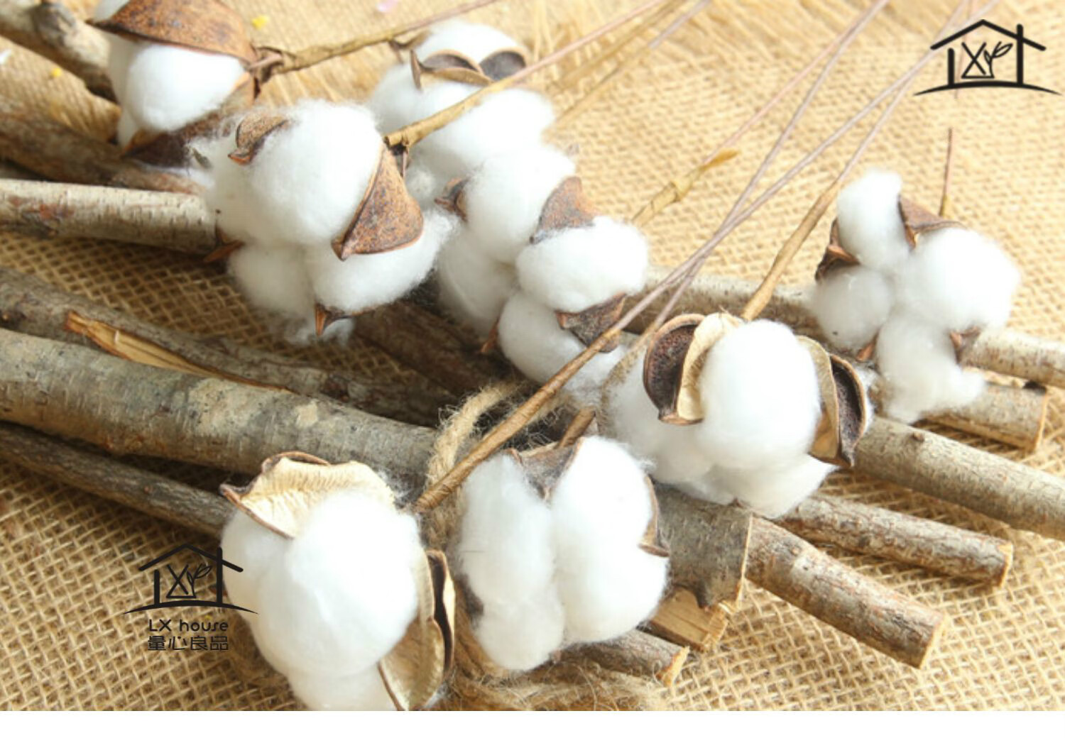 新疆棉花干花 花束永生花拍摄道具网红ins公寓装饰木棉花假花仿真 单