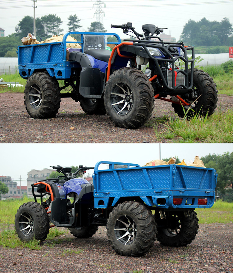 四驱大沙滩车四轮越野农夫车带斗农用拉货摩托车带货箱全地形 定制