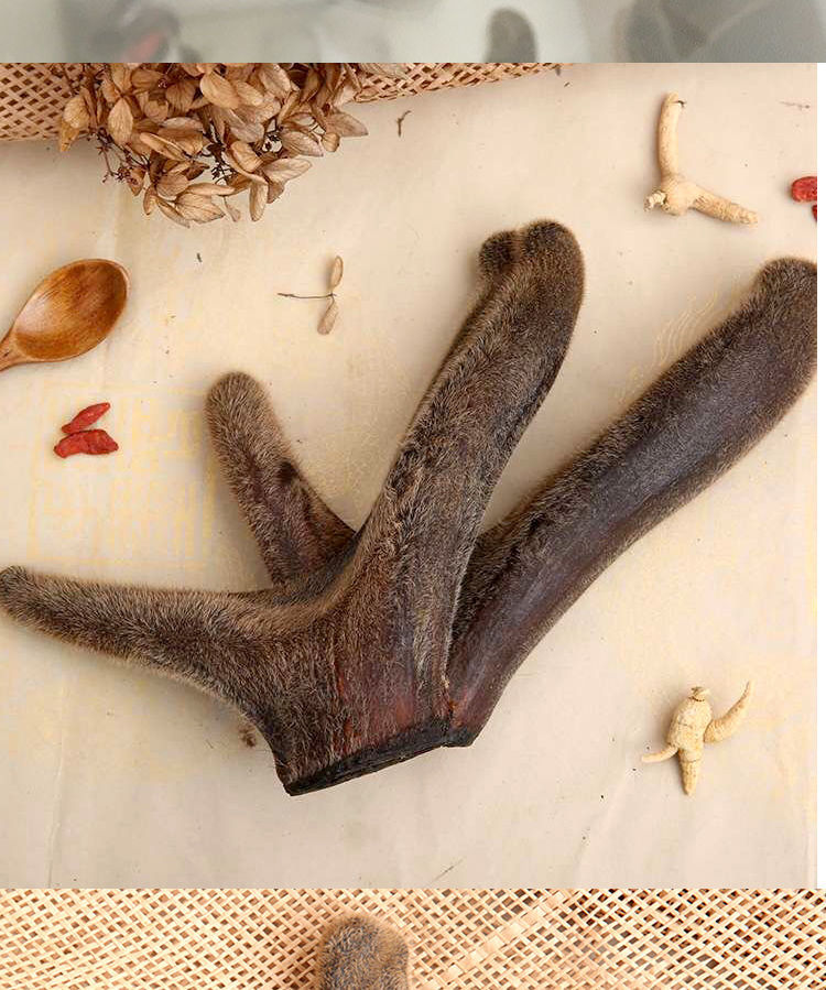 吉林梅花鹿茸整枝鹿茸头茬干鹿茸二杠鹿茸整枝鹿茸段 【编号15】整枝