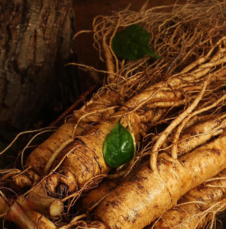 鲜活人参老参王【2支/110g】野山参长白山新鲜人参泡酒煲汤佳选 老参