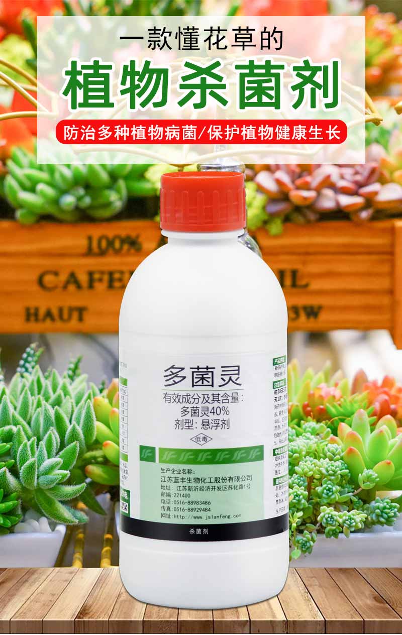 多菌菌灵杀菌剂花卉黑斑病叶斑病白粉病多肉兰花发财树植物灭菌灵400