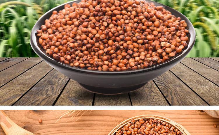 红高粱5斤带皮东北五谷杂粮粗粮黏糯高粱米大米酿酒带皮红高粱1斤 红